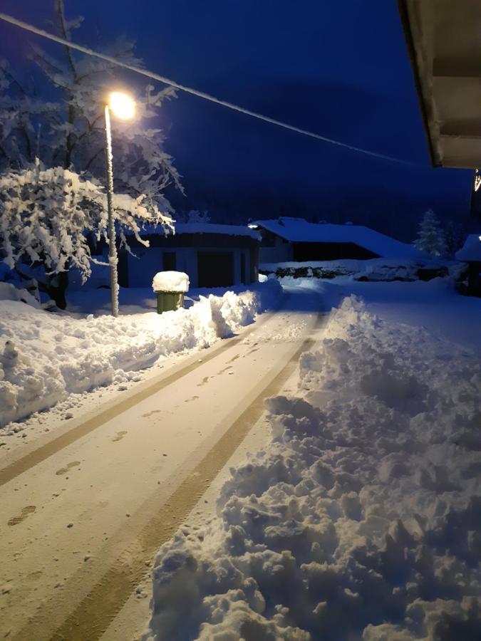 Alpska Roza Leilighet Kranjska Gora Eksteriør bilde