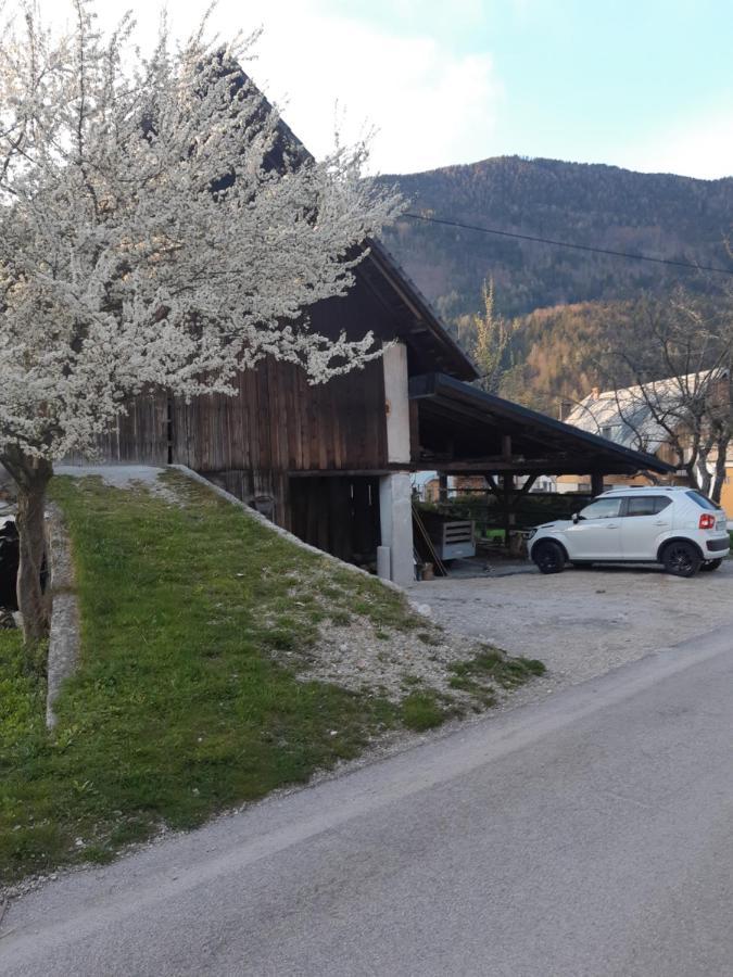 Alpska Roza Leilighet Kranjska Gora Eksteriør bilde
