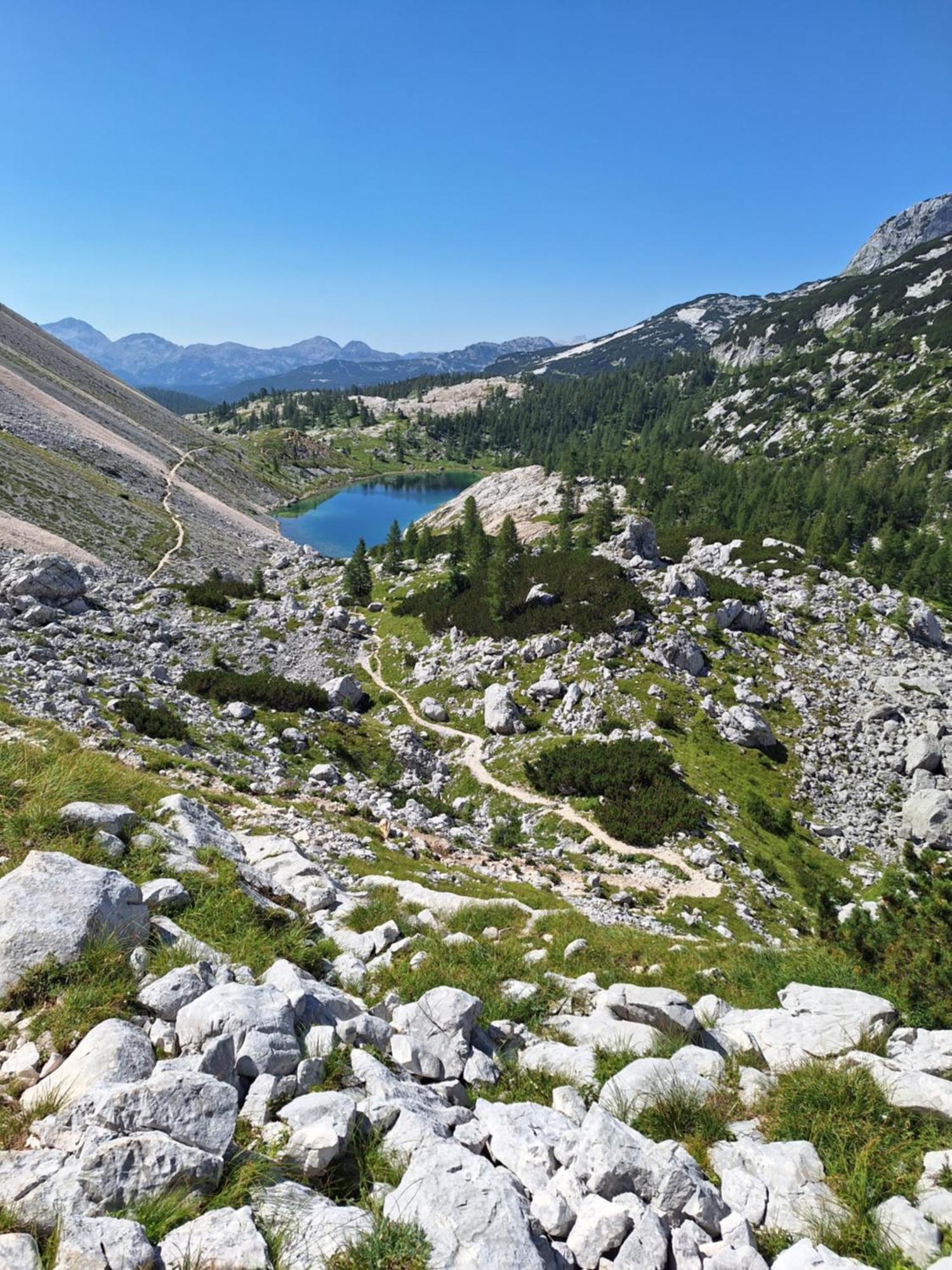 Alpska Roza Leilighet Kranjska Gora Eksteriør bilde